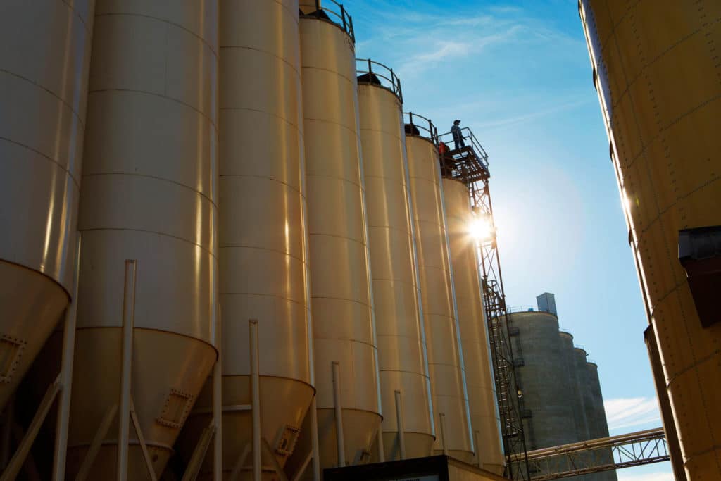 Basic Grain milling facility